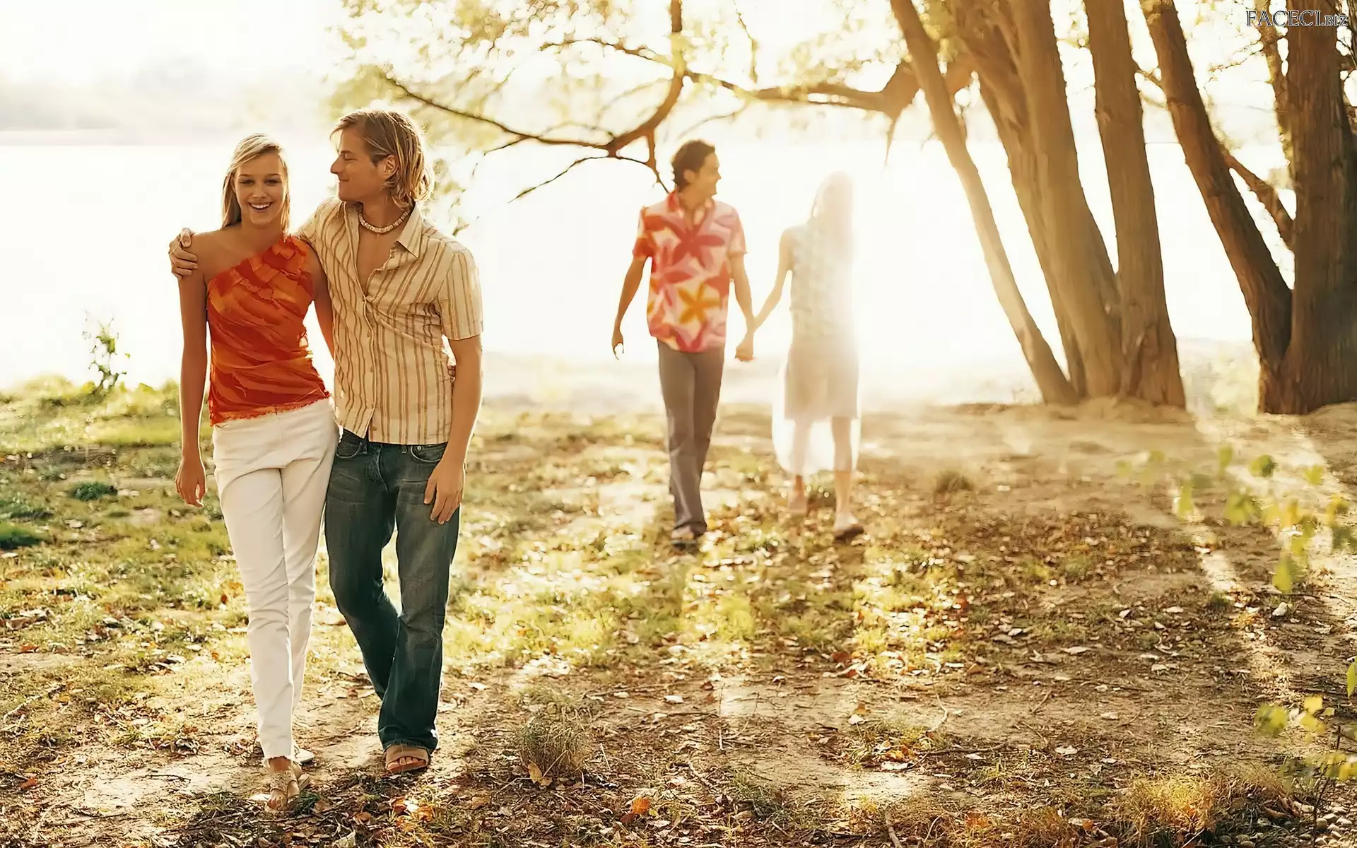 Drzewa, Pary, Spacer, Miłość, Zakochane